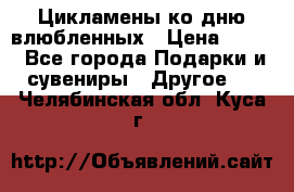 Цикламены ко дню влюбленных › Цена ­ 180 - Все города Подарки и сувениры » Другое   . Челябинская обл.,Куса г.